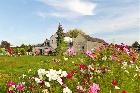 Le Clos Marie | Langeais