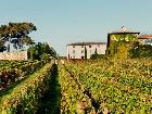 Domaine de Javernière | Villié-Morgon