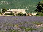 Ferme Fouent Crema | Banon